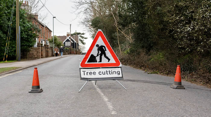 tree cutting sign